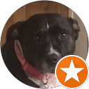 Jo Miller profile picture
